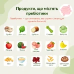 Продукти з пребіотиками: фрукти, овочі та злаки для кишківника
