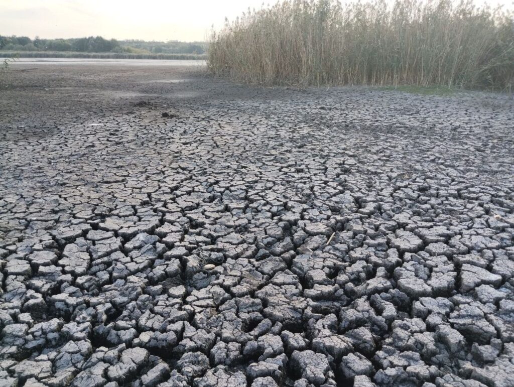 Висохле потріскане дно водойми на півдні України через кліматичні зміни
