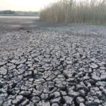 Висохле потріскане дно водойми на півдні України через кліматичні зміни