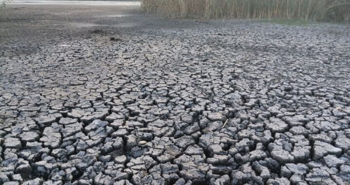 Высохшее потрескавшееся дно водоема на юге Украины из-за климатических изменений