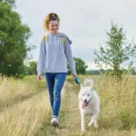 Жінка щодня гуляє з собакою стежкою в зеленому полі