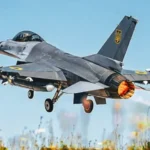 Український F-16 з форсажем злітає над полем квітів