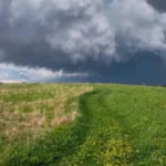 Грозові хмари над зеленим полем в Україні під час дощів