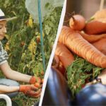 10 дат вересня, коли город краще не чіпати